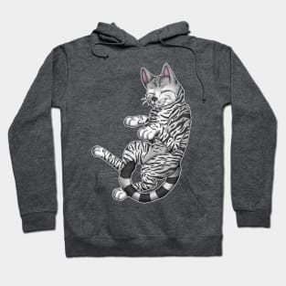 Silver Tabby Shorthair Hoodie